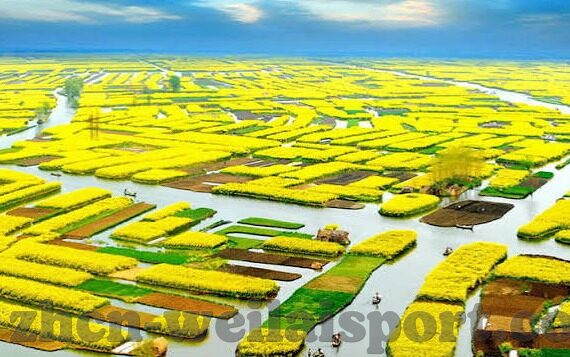 幸运水果机大满贯-幸运水果机大满贯，一场意外之喜的冒险之旅