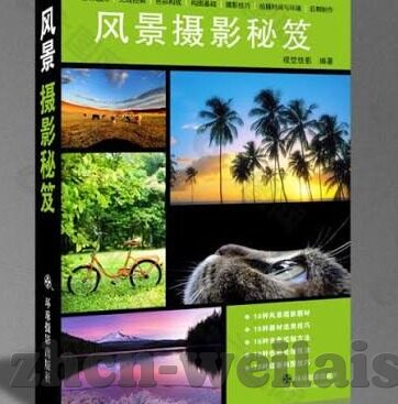 英国申办世界杯-英国申办世界杯，足球盛宴与文化传承